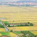 Thủ tục đăng ký góp vốn bằng quyền sử dụng đất cho đối tượng là hộ gia đình, cá nhân Thủ tục đăng ký góp vốn bằng quyền sử dụng đất cho đối tượng là hộ gia đình, cá nhân