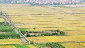 Thủ tục đăng ký góp vốn bằng quyền sử dụng đất cho đối tượng là hộ gia đình, cá nhân Thủ tục đăng ký góp vốn bằng quyền sử dụng đất cho đối tượng là hộ gia đình, cá nhân