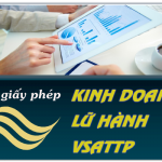 xin giay phep 550
