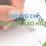 Chứng chỉ bảo hiểm về bảo hiểm trong nước và nước ngoài cấp được quy định như thế nào?