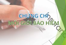 Chứng chỉ bảo hiểm về bảo hiểm trong nước và nước ngoài cấp được quy định như thế nào?