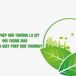 Thẩm quyền và thời điểm cấp Giấy phép môi trường theo quy định của Luật Bảo vệ môi trường 2020 và Nghị định số 08/2022/NĐ-CP