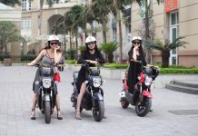 Cấp giấy chứng nhận an toàn kỹ thuật và bảo vệ môi trường cho phương tiện nhập khẩu