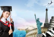 Cấp giấy phép kinh doanh dịch vụ tư vấn du học