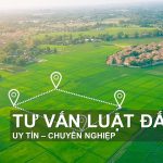 Dịch vụ tư vấn đầu tư bất động sản