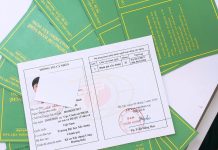 Cho thuê chứng chỉ hành nghề có vi phạm pháp luật
