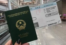 Giấy phép lao động, thẻ tạm trú, cấp, gia hạn visa