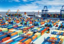 Dịch vụ xin giấy phép nhập khẩu chuyên nghiệp