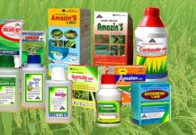 Giấy phép nhập khẩu thuốc bảo vệ thực vật 2026