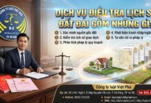 Dịch vụ điều tra lịch sử đất đai gồm những gì?